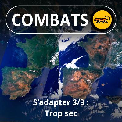 S05E62 S'adapter 3/3 : Trop sec (Ilian Moundib)