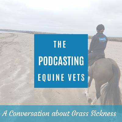 A Conversation About Equine Grass Sickness