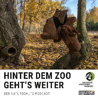 Deutschlands größte Wildnis: Wie Brandenburg zum Vorbild wurde