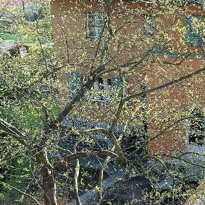 Du bist kein Űbergangsphänomen. Du bist kein Űbergangsphänomen.