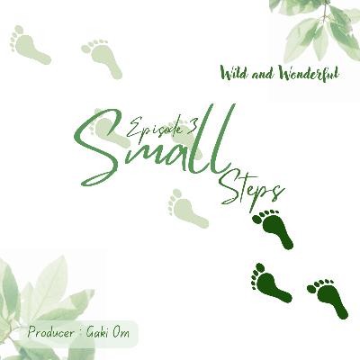 Small Steps : Up-Cycling Small Steps : Up-Cycling