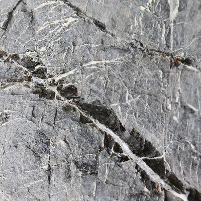 Spuren - Das Fremde im Eigenen und das Eigene im Fremden