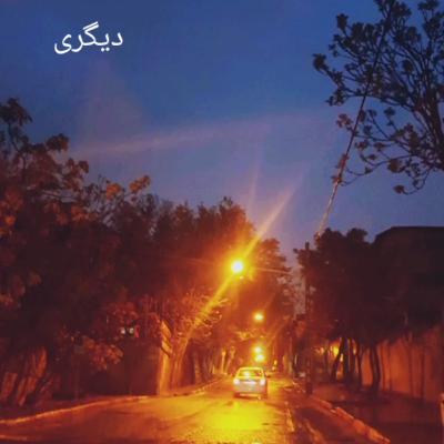 دیگری