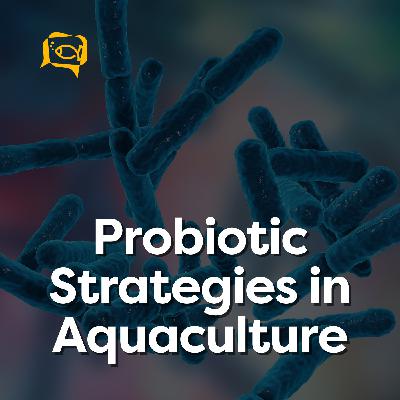 Probiotic Strategies in Aquaculture | Ep. 20