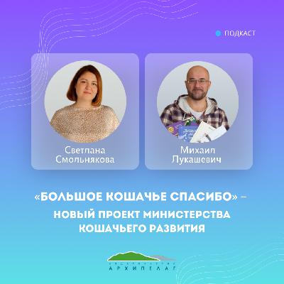 «Большое кошачье спасибо» – новый проект Министерства кошачьего развития «Большое кошачье спасибо» – новый проект Министерства кошачьего развития