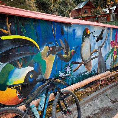 Concepto de Ambiente