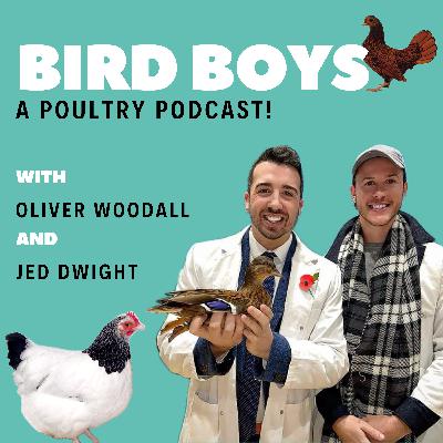 Jed & Ollie’s South West Road Trip!
