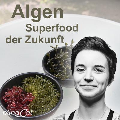 Algen: Superfood der Zukunft?
