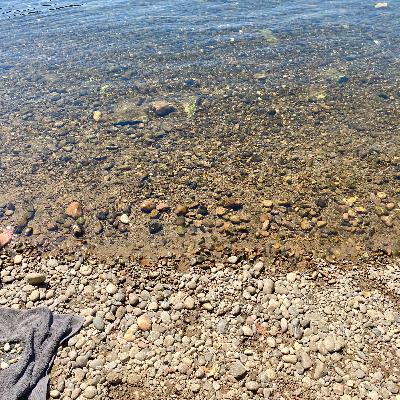 58 - Dom Geluk (Michiel Sanen) 58 - Dom Geluk (Michiel Sanen)