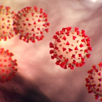 CORONAVIRUS QUESTIONS WITH MY FAMILY!