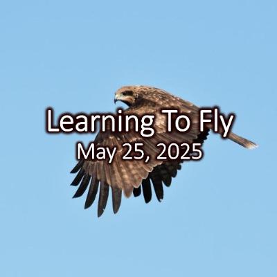 “Learning to Fly and Other Imaginings”, May 25, 2025