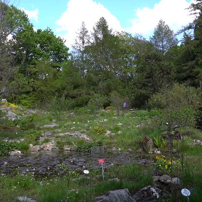 In 15 Minuten um die Welt – der Botanische Garten Frankfurt