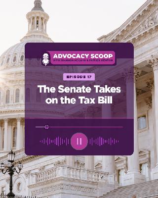 The Senate Takes on the Tax Bill
