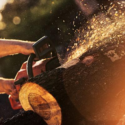 A chainsaw, a bridge, and a lesson in surviving failure