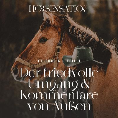 Teil 1 - Der friedvolle Umgang mit Pferden & Kommentare von Außen | Im Gespräch mit Sandra Kitzmüller Teil 1 - Der friedvolle Umgang mit Pferden & Kommentare von Außen | Im Gespräch mit Sandra Kitzmüller