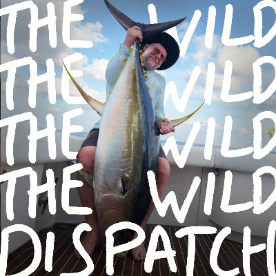 EP91: Fish Tales from The Fish Shack ↣ Ejler Hjorth-Westh EP91: Fish Tales from The Fish Shack ↣ Ejler Hjorth-Westh