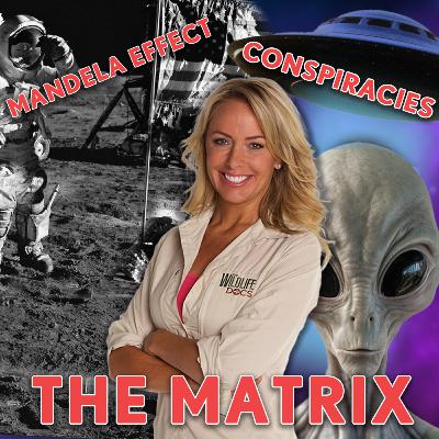 Conspiracies, Mandela Effect and The Matrix: Best of LINZanity #234