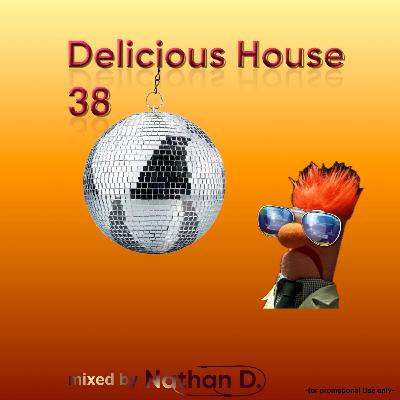 Delicious House Vol. 38