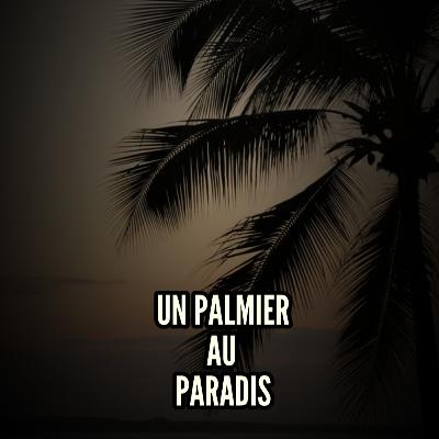 Un palmier au paradis