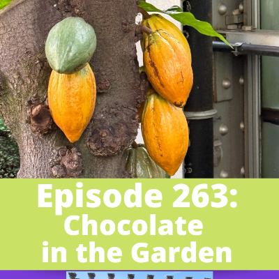 Chocolate in the Garden