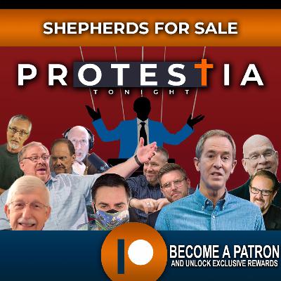 Shepherds for Sale