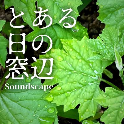 とある日の夏の日(ep62)
