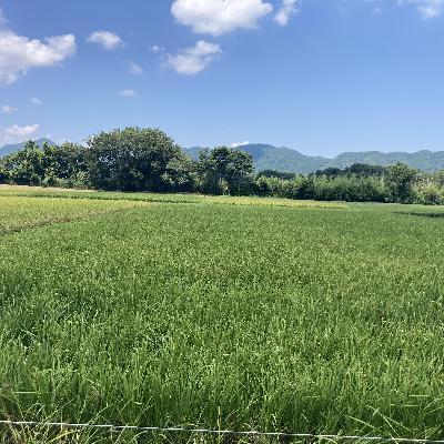 郗美ソンラジオ大学130