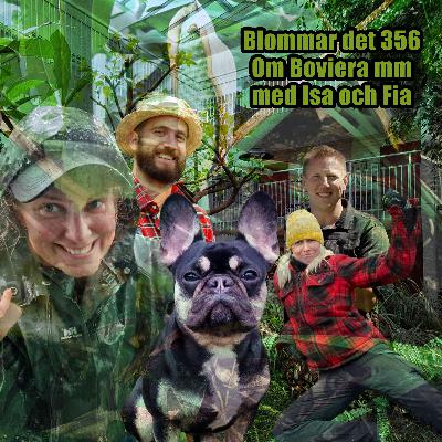356 Fia och Isa