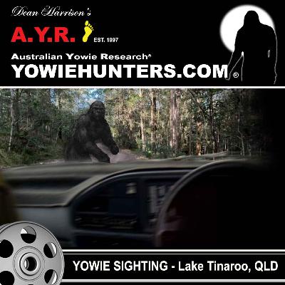 Yowie Sighting at Lake Tinaroo, Queensland - 1995