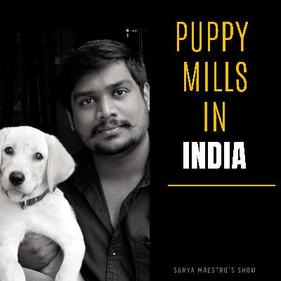 Puppy Mills in India / Unethical Business / Voice for Voiceless