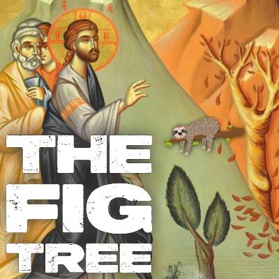 The Fig Tree