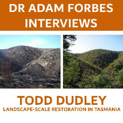 Skyline Tier: Tasmania’s Largest Restoration Project Reviving 2,000ha of Native Forest – A Conversation with Todd Dudley