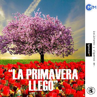 La primavera llegó. | News Pop.