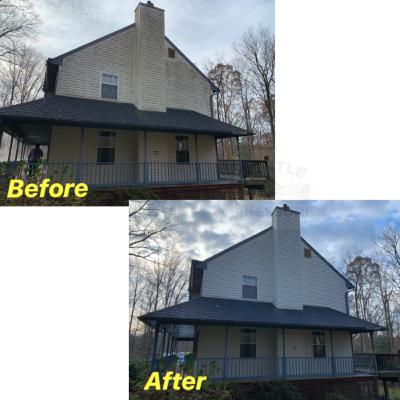 Algae on the Siding of your house