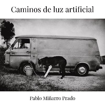 CAMINOS DE LUZ ARTIFICIAL - casi XX. pájaro herido en perpetuo trance de pedir perdón
