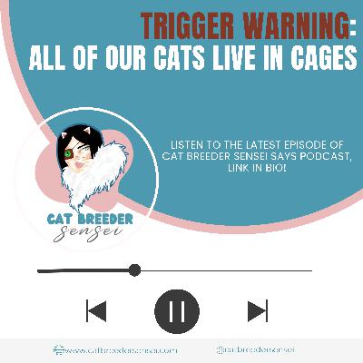 TRIGGER WARNING: All of our cats live in cages