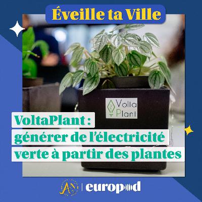 VoltaPlant : générer de l’électricité verte à partir des plantes