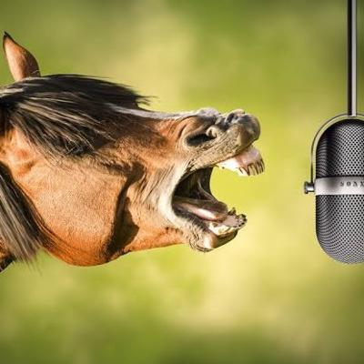 Cavalo Mangalarga Marchador