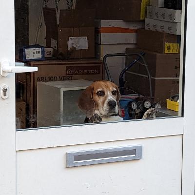 (#11) Consciencia contra subsconsciencia