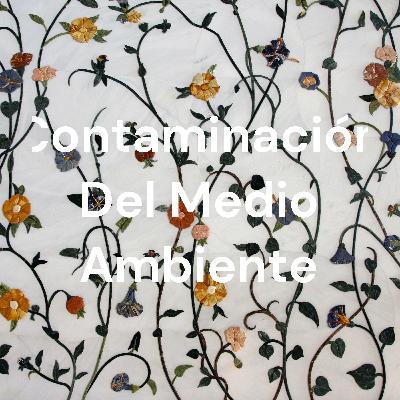 Contaminación ambiental