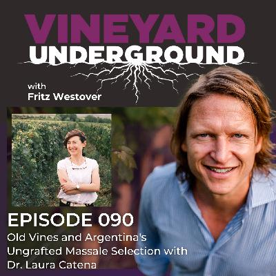 090: Old Vines and Argentina's Ungrafted Massale Selection with Dr. Laura Catena 090: Old Vines and Argentina's Ungrafted Massale Selection with Dr. Laura Catena