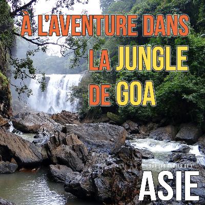 #55 – À l’aventure dans la jungle de Goa (Inde) #55 – À l’aventure dans la jungle de Goa (Inde)