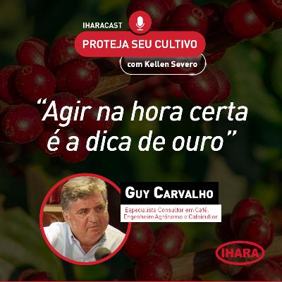 #38 - Como alcançar alta produtividade no cultivo do café