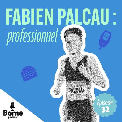 Fabien Palcau :  professionnel