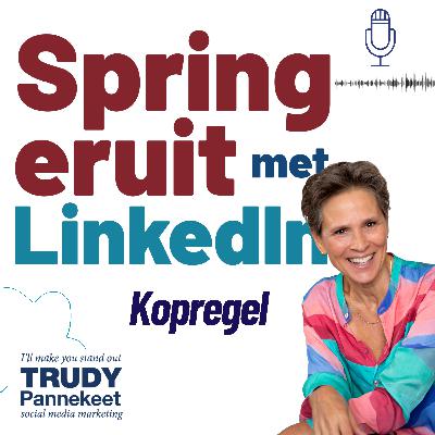 Wat zet je in je LinkedIn kopregel?