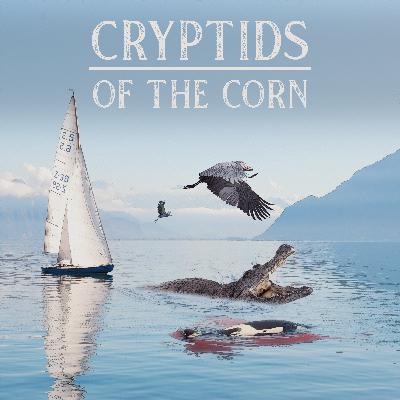 Mystery Cetacean Station Part 2: Electric Boogaloo S.7 Ep.55