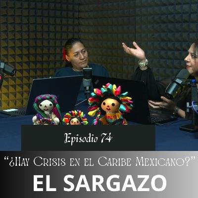 Episodio 74 "¿Hay Crisis en el Caribe Mexicano?" *El Sargazo*