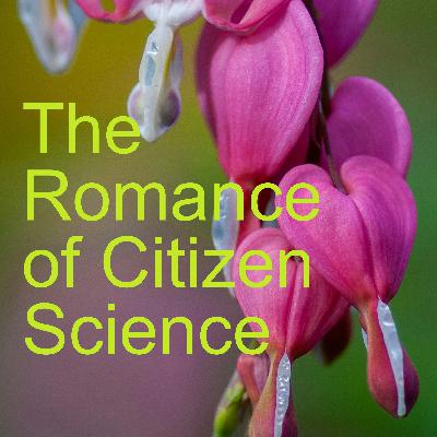 The Romance of Citizen Science The Romance of Citizen Science