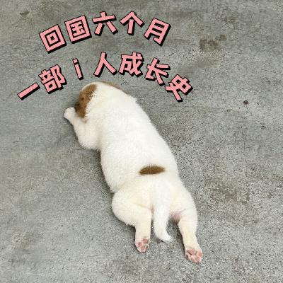 18｜回国六个月，太考验我这个大写的I人了吧！