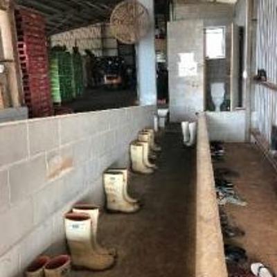 Snapshot - February 2019